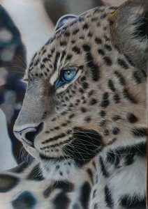 leopard_3