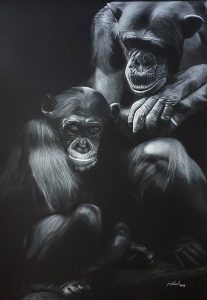 schimpansen_sw