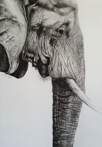 elefant_sw