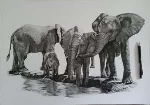 Elefanten Bleistift