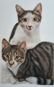 Doppelkatzenportrait Auftragsarbeit