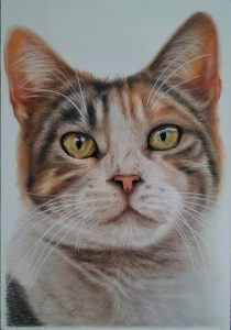 Katze bunt Miniportrait