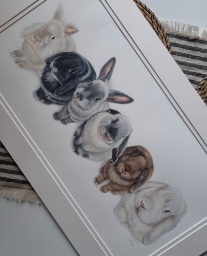 6 Kaninchen