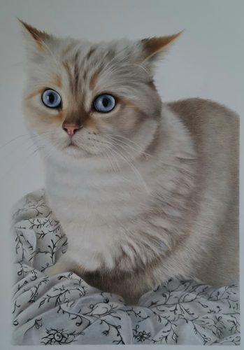 Bella