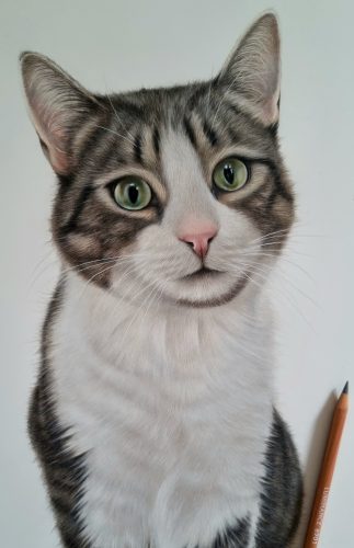 Hedwig